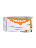 PAN-B-COMP Vitamin B Complex - 10vials x 4ml